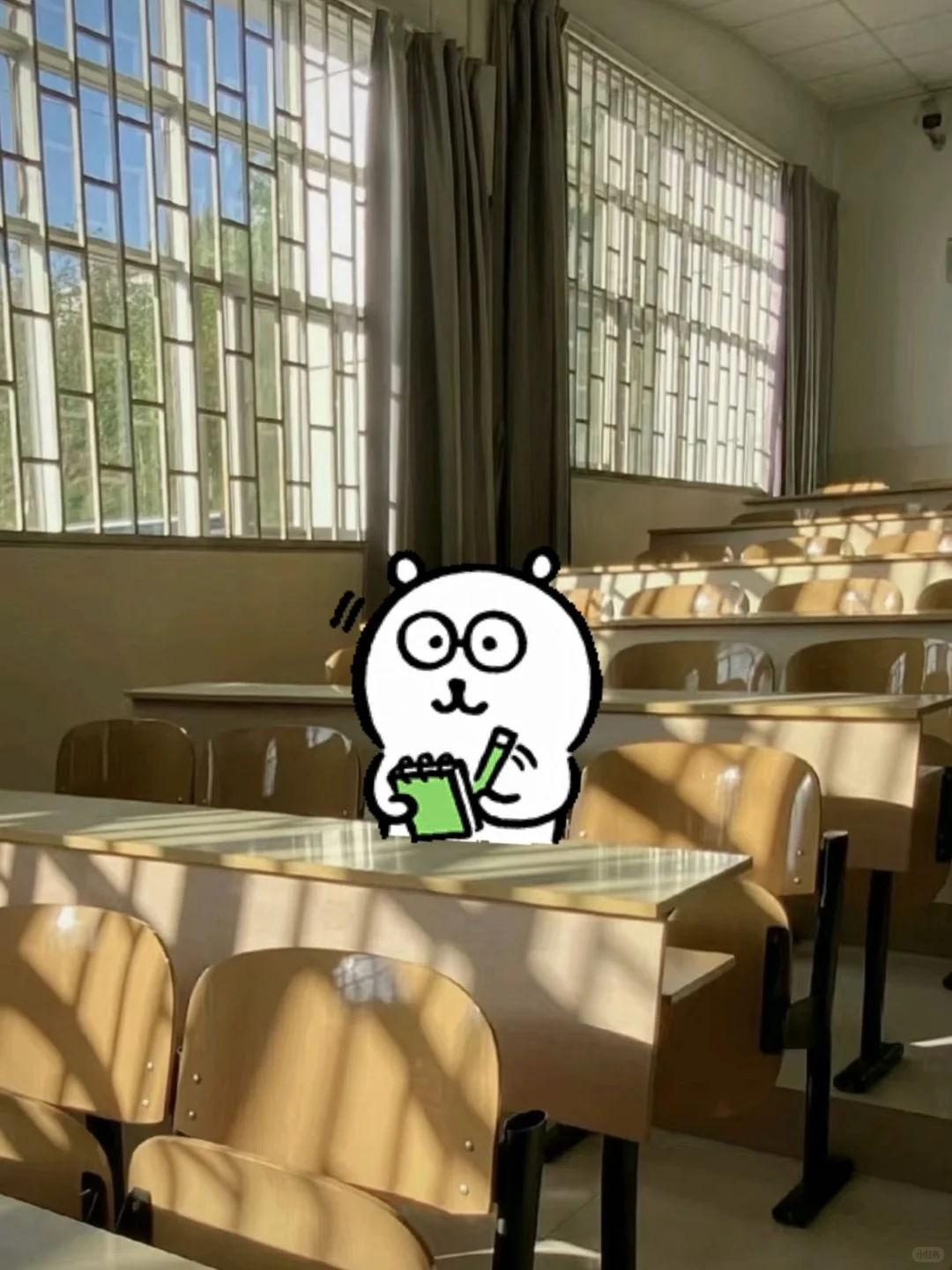 熊...学习上进的一天ˡⁱᵛᵉ