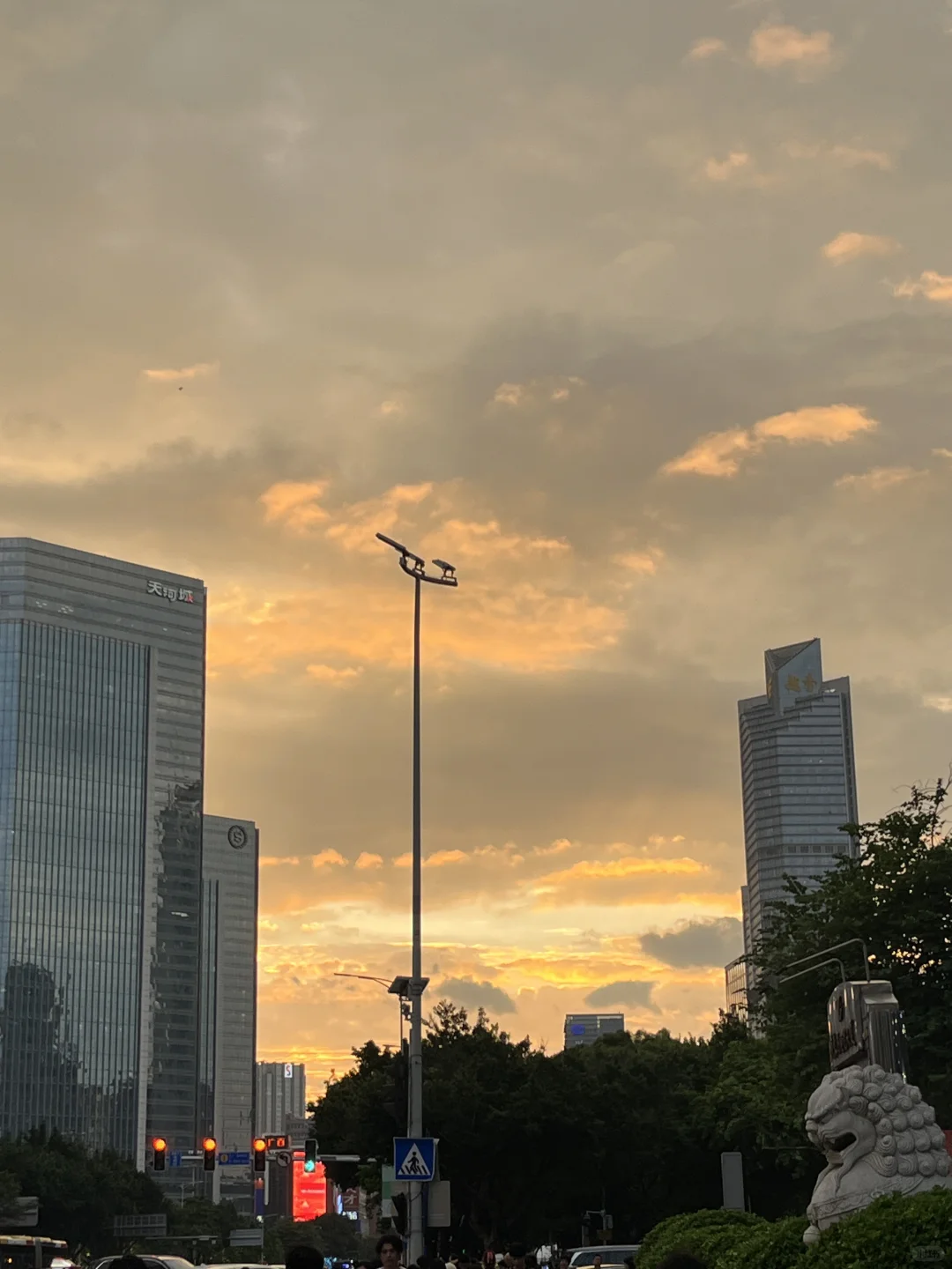 维秘上班打卡第7天☺️