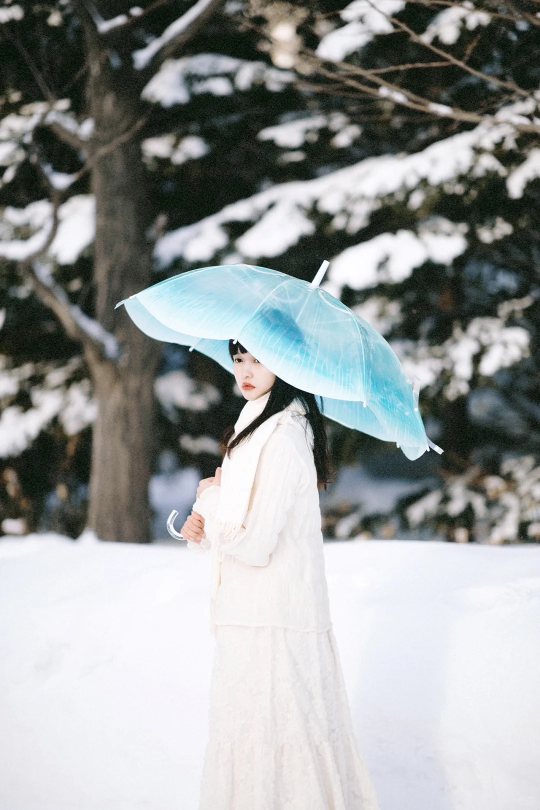 东京约拍｜南方人快点进来看下雪吧～❄️❄️