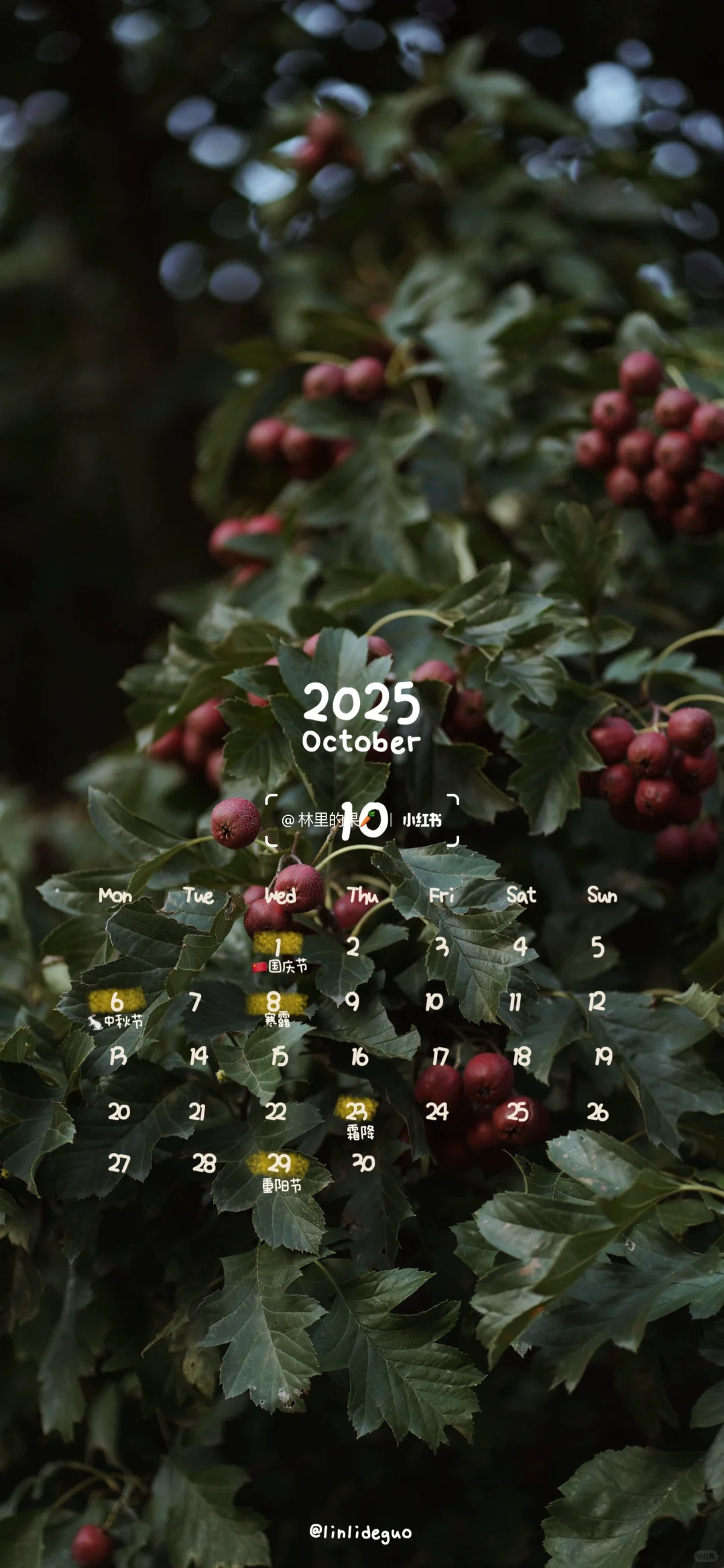Wallpaper sharing⚫️🔴𝟭𝟬月·日历壁纸📆