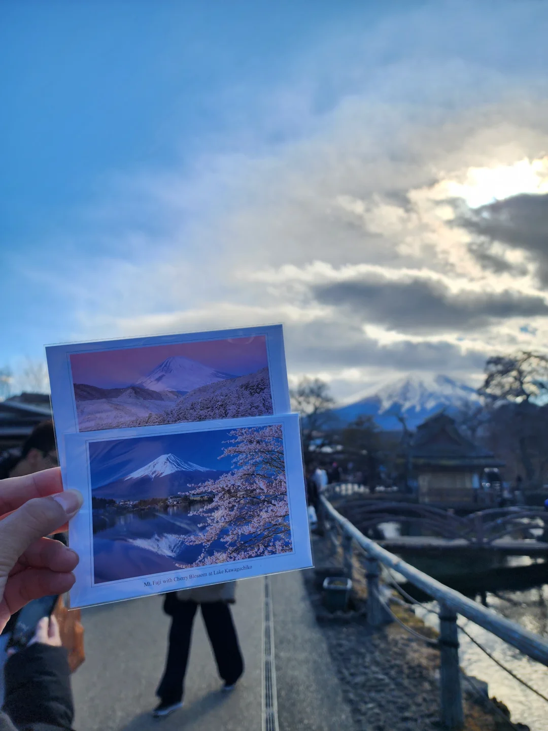 富士山九图