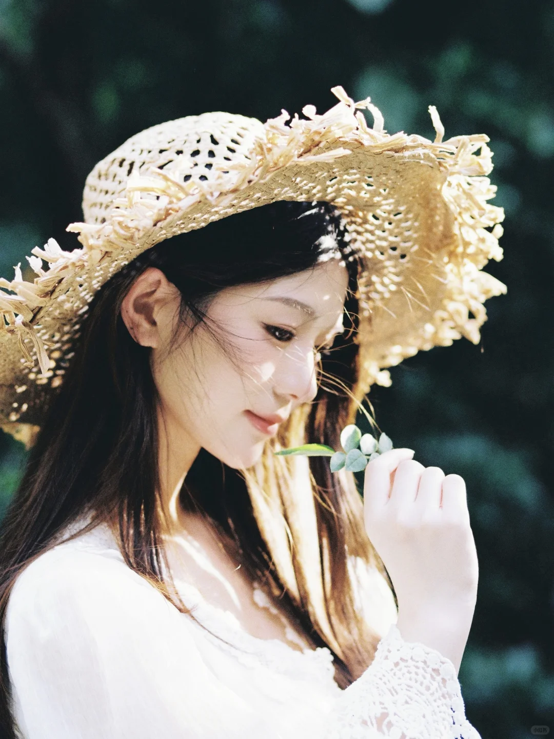 把夏天留在胶片里🎞️