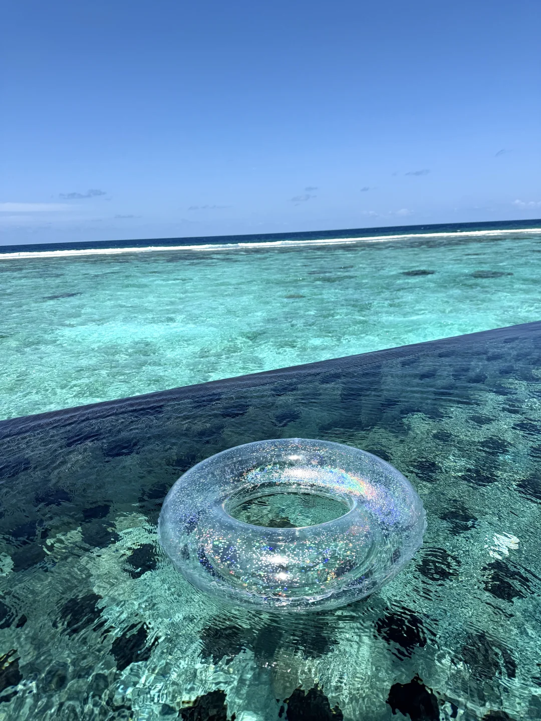 美人鱼上岸🧜‍♀️