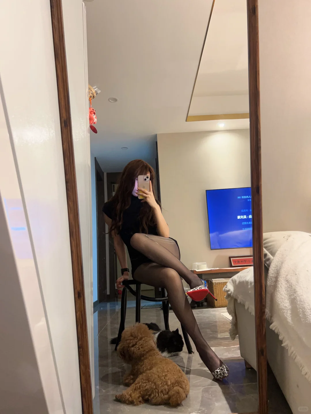 不愧是油丝，纵享丝滑，爱了爱了