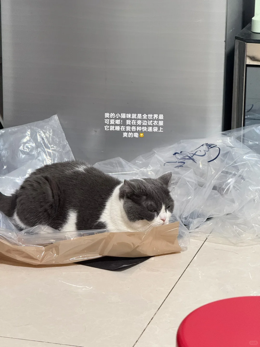 建议大家保持微胖身材