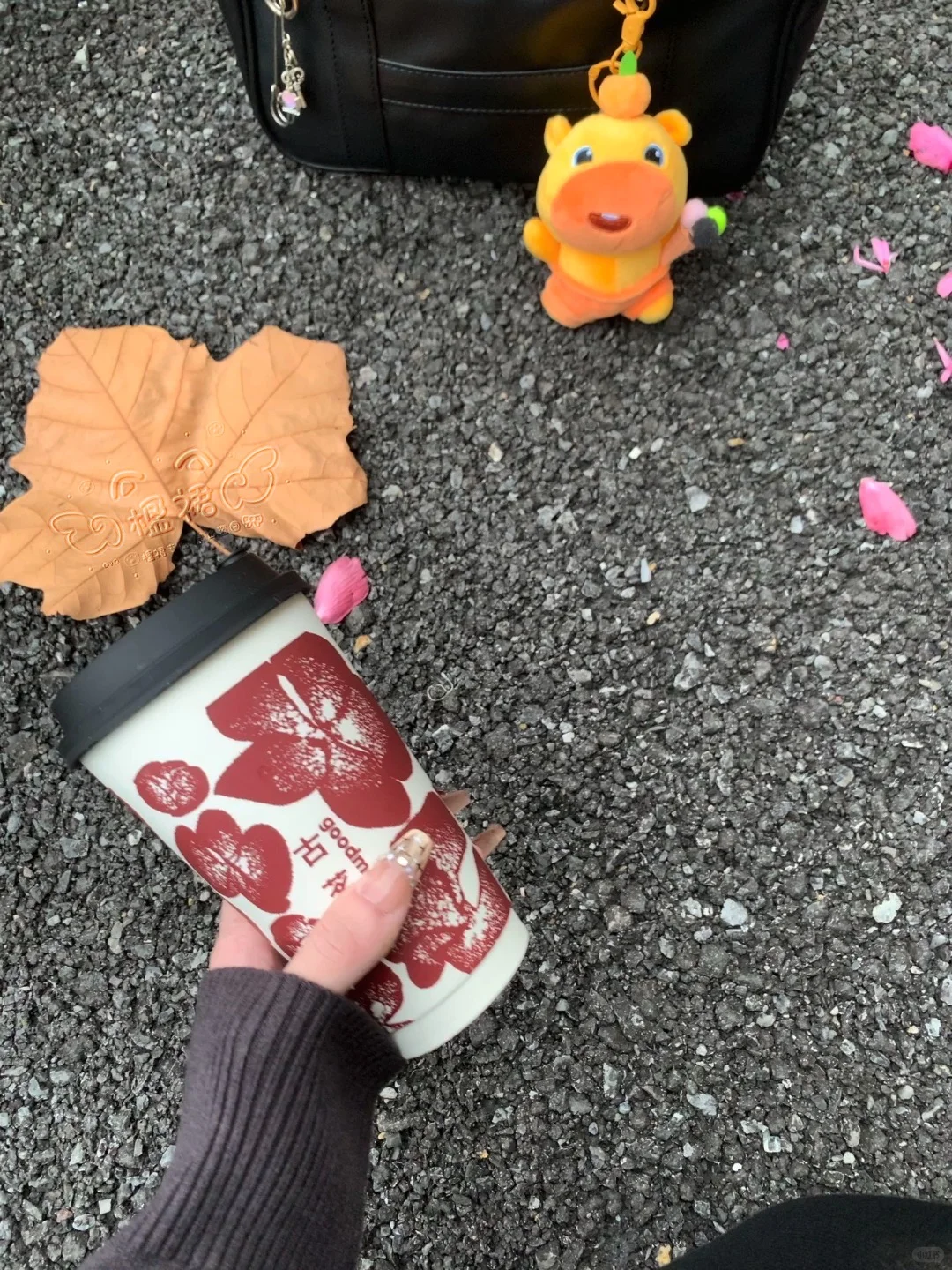 依旧厚黑🍁