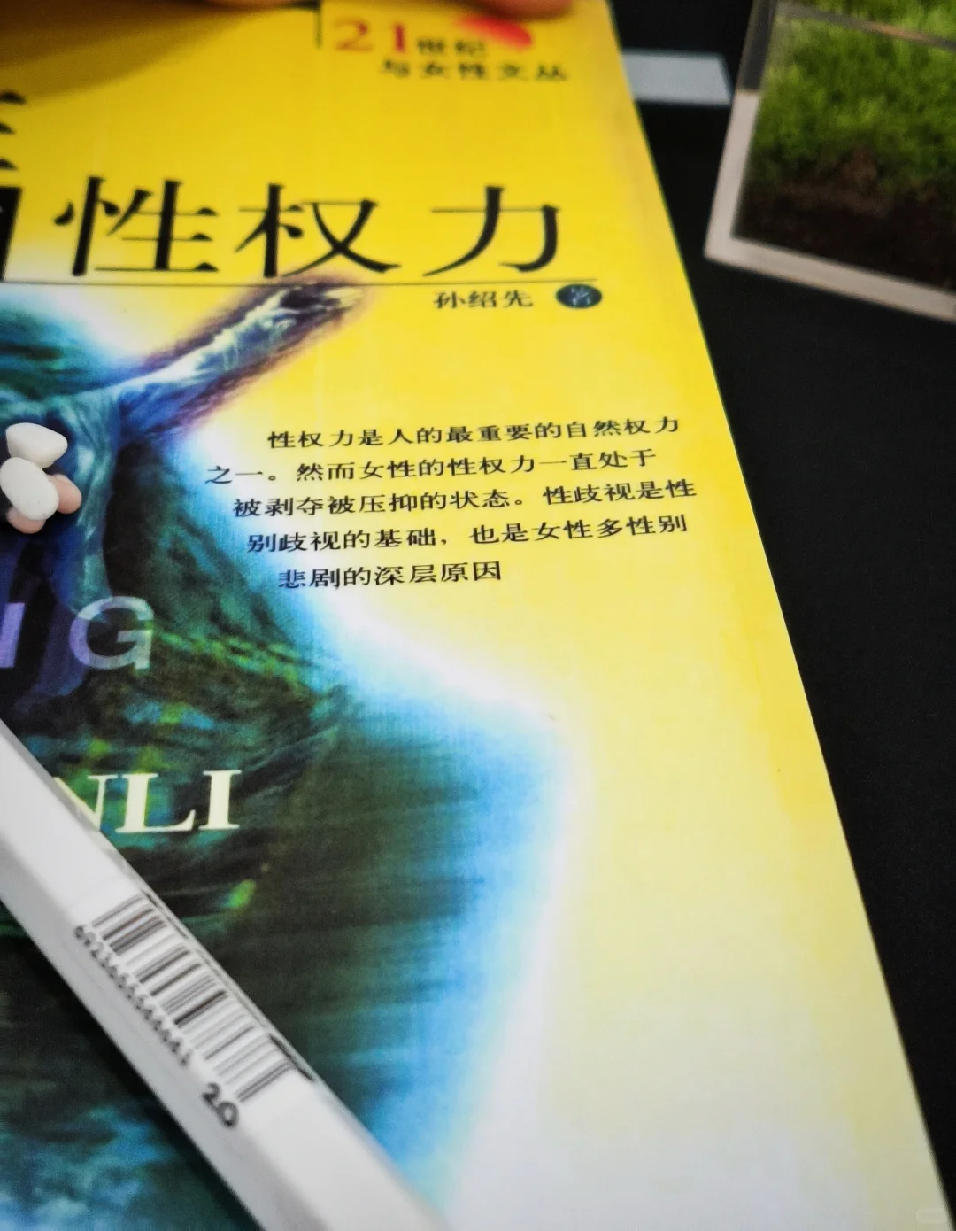 “贞女”or“荡妇”皆为牺牲品