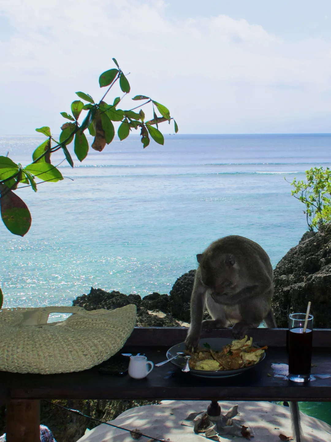 Island vacation mode🍸‧₊˚✧