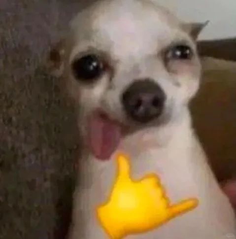 为什么我高三的时候每天都很开心