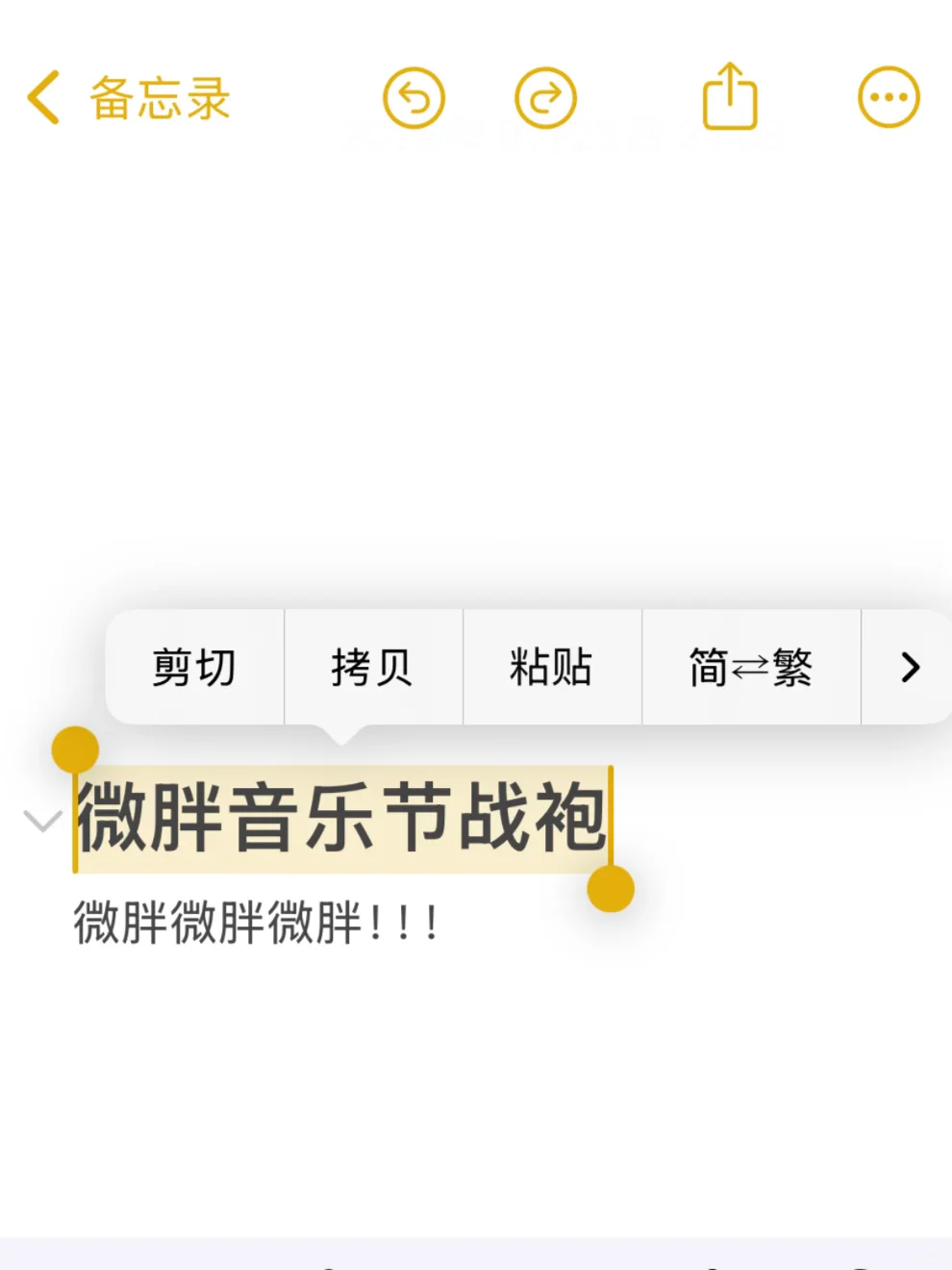 微胖音乐节战袍