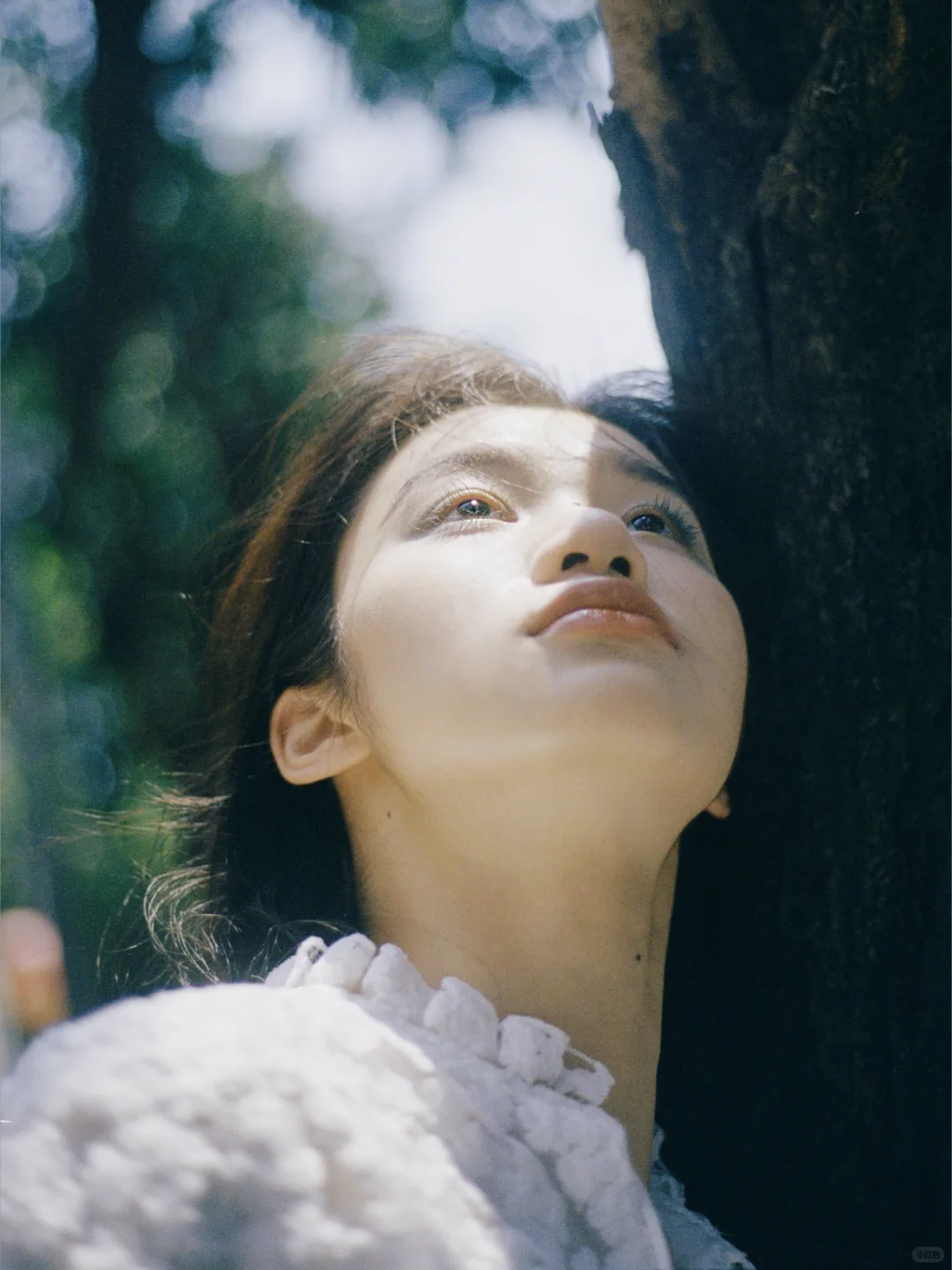 2024我的年度9图