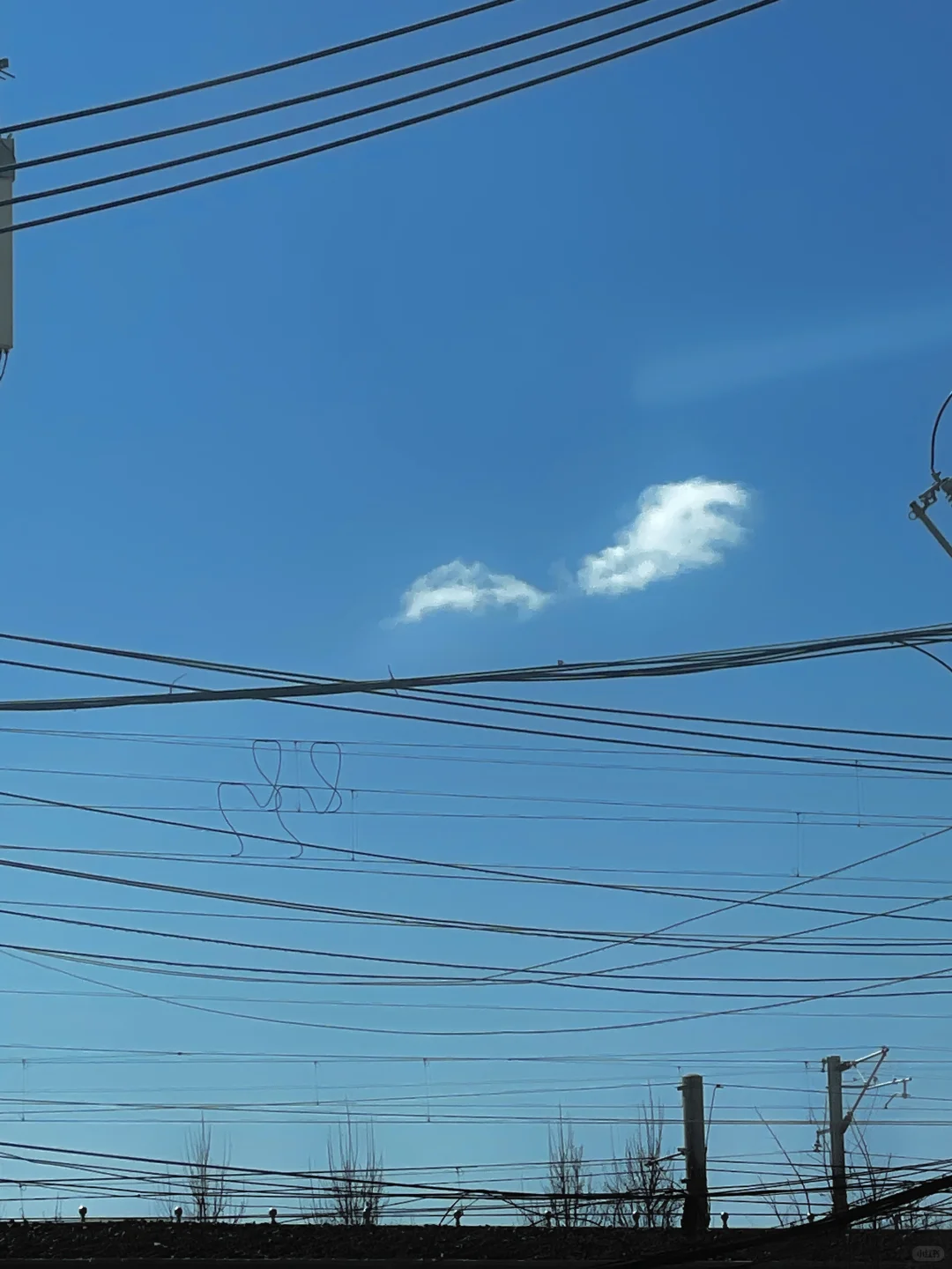 听说向天使☁️许愿会成真