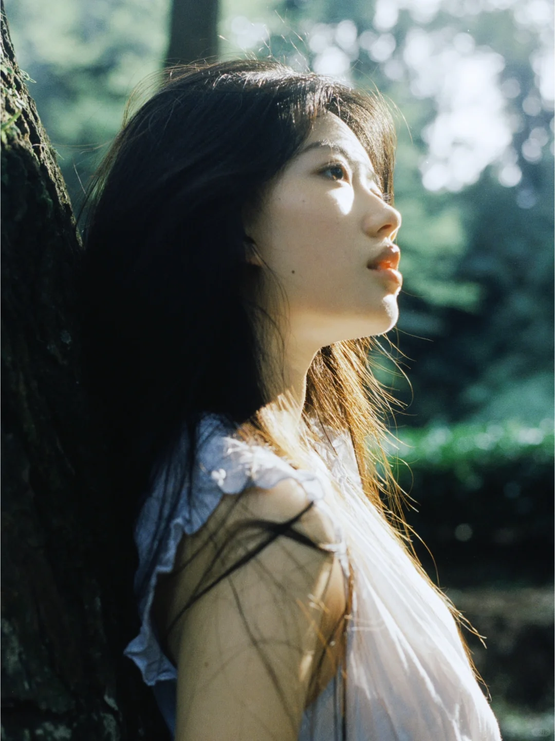 2024我的年度9图