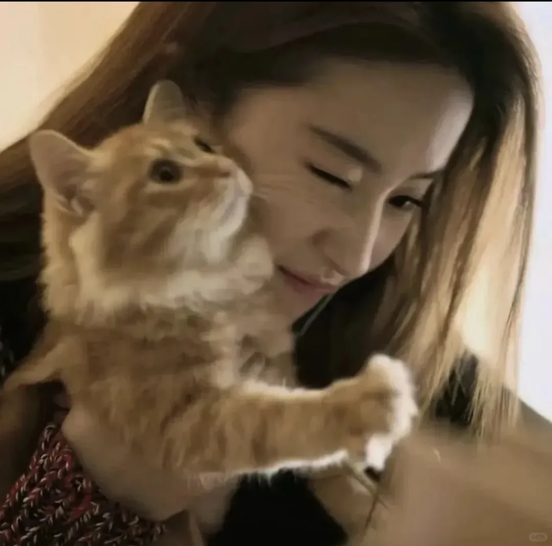 这就是人间天使吧o( ❛ᴗ❛ )o