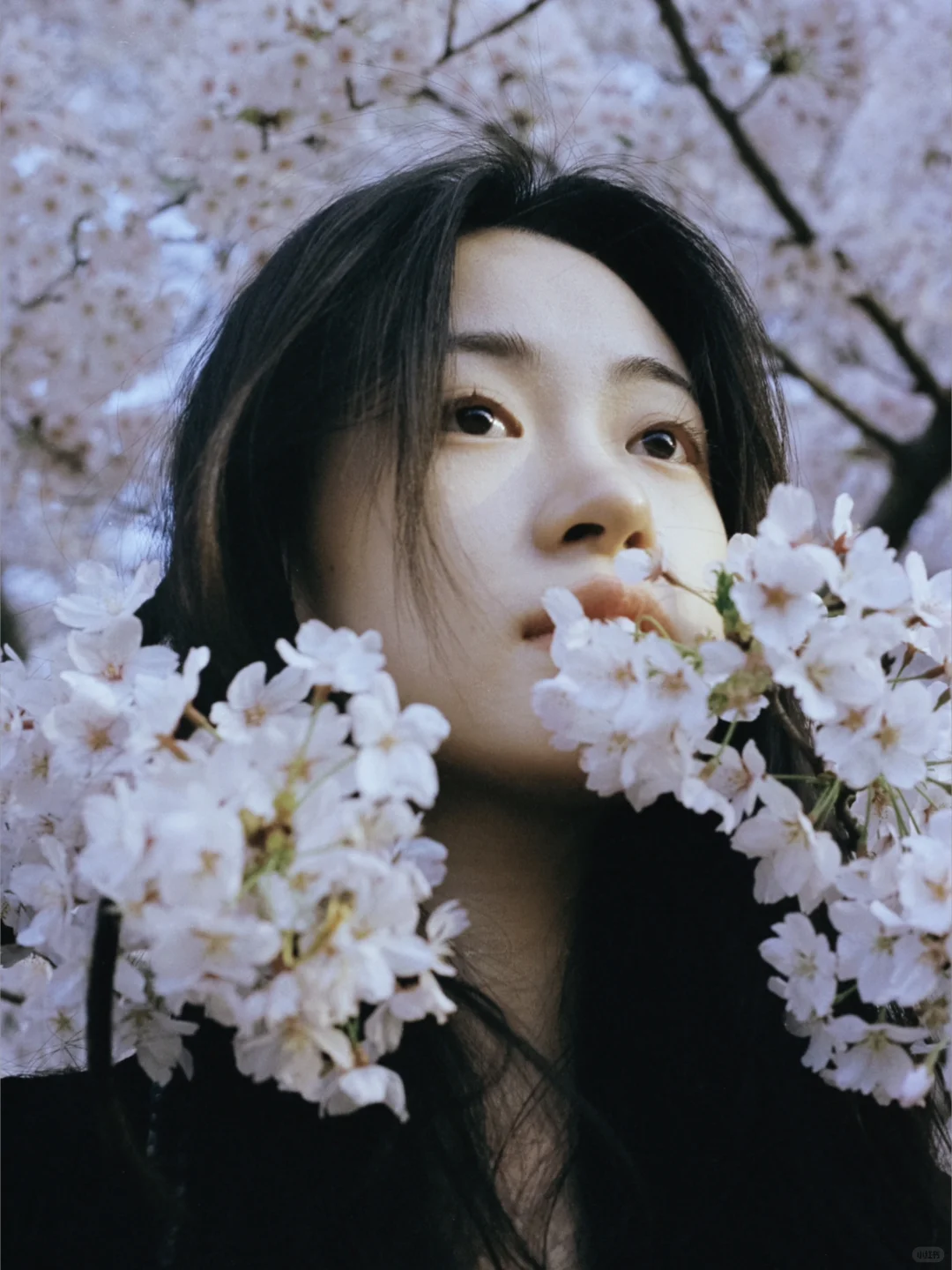 2024我的年度9图