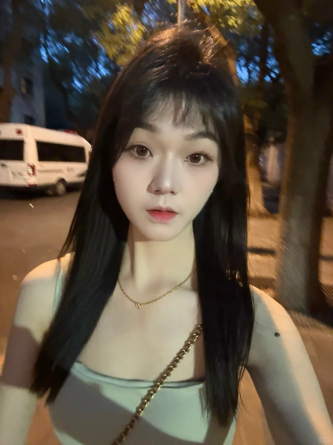 典型东北长相吧
