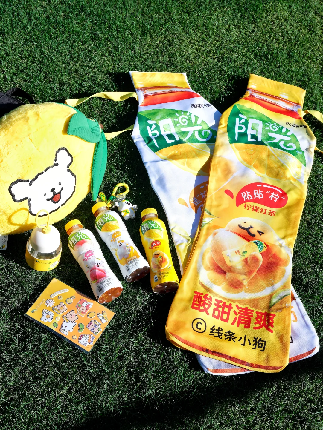 今日份阳光女孩☀️