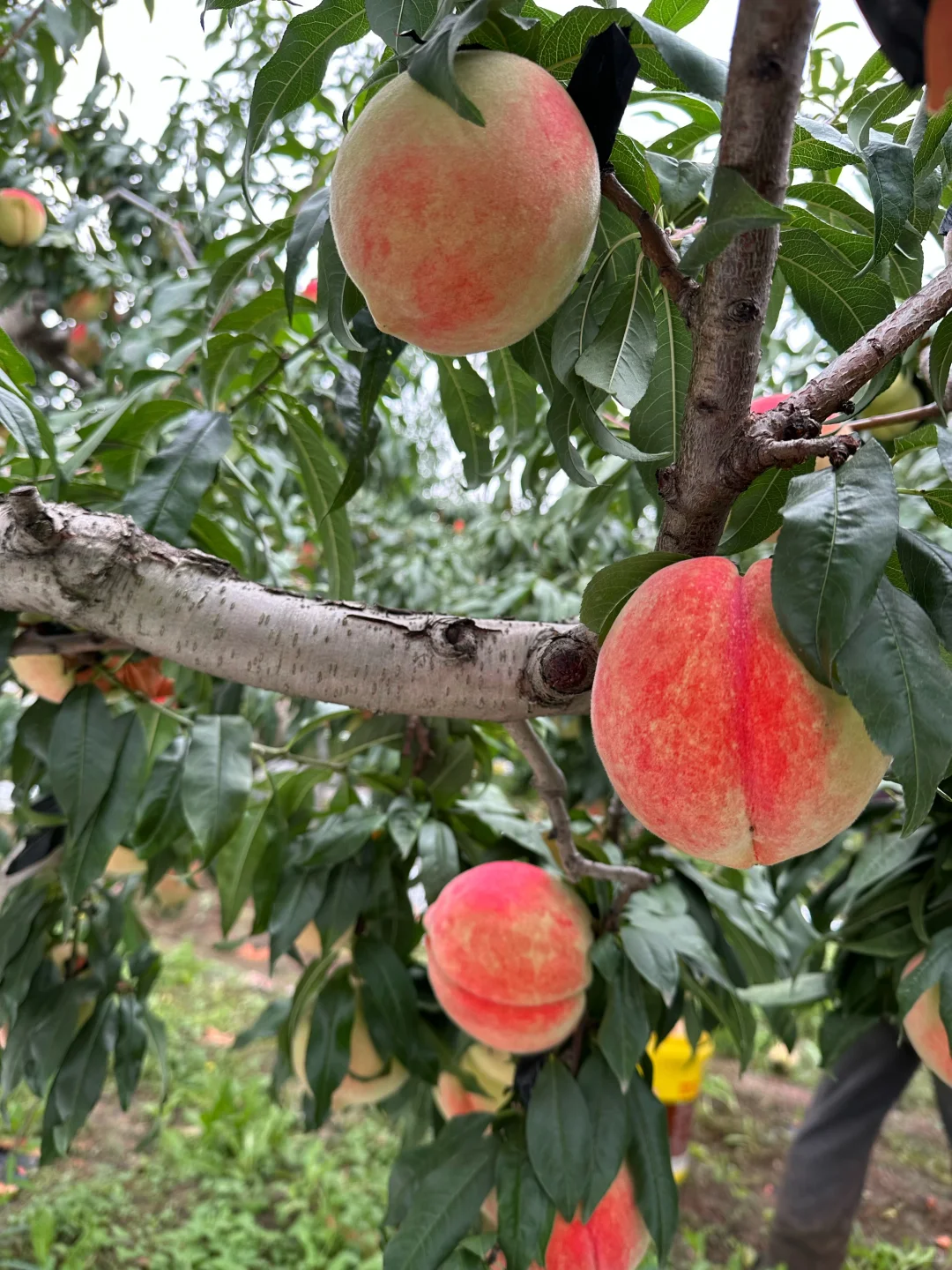默默的做，成功了再说｜偷偷努力的感觉太棒了