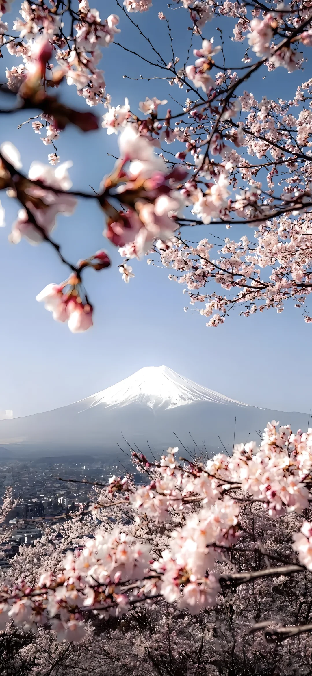 wallpaper | 氛围感高清壁纸