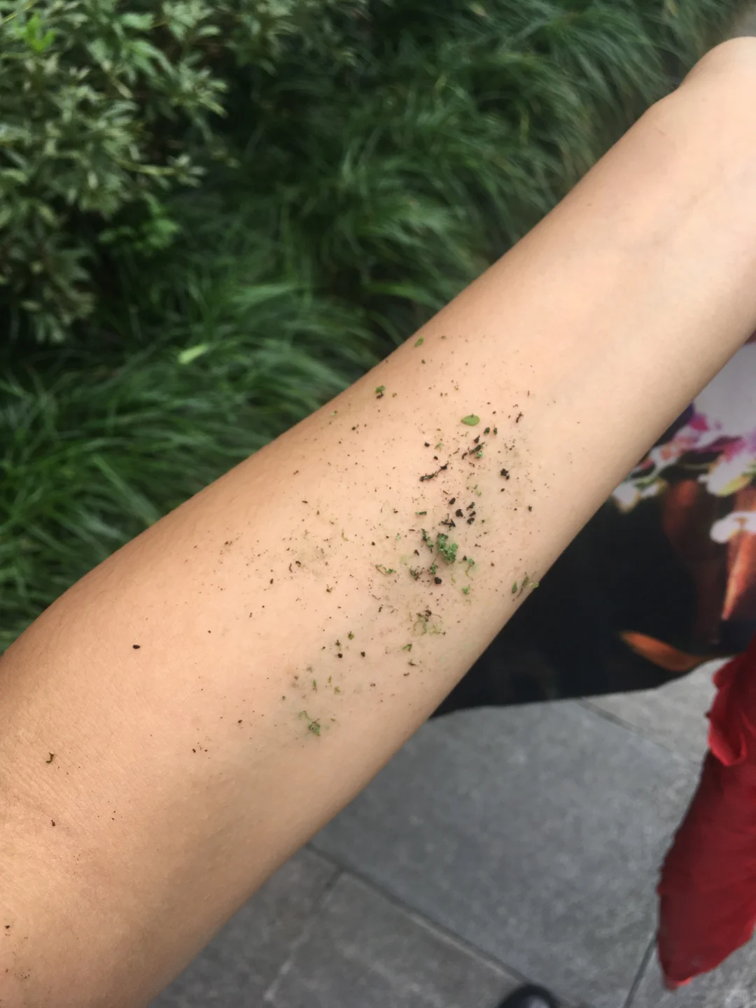 植物性的人