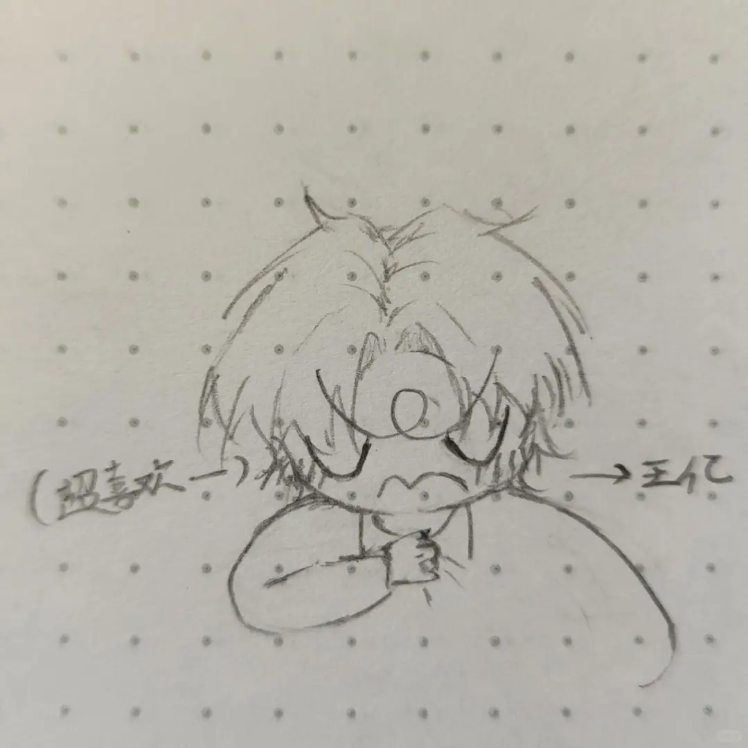 秦先生的脸美的惊为天人