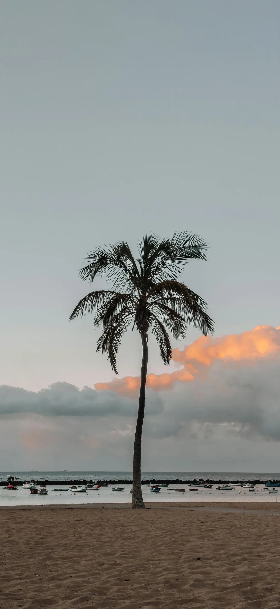 每日壁纸｜08.05