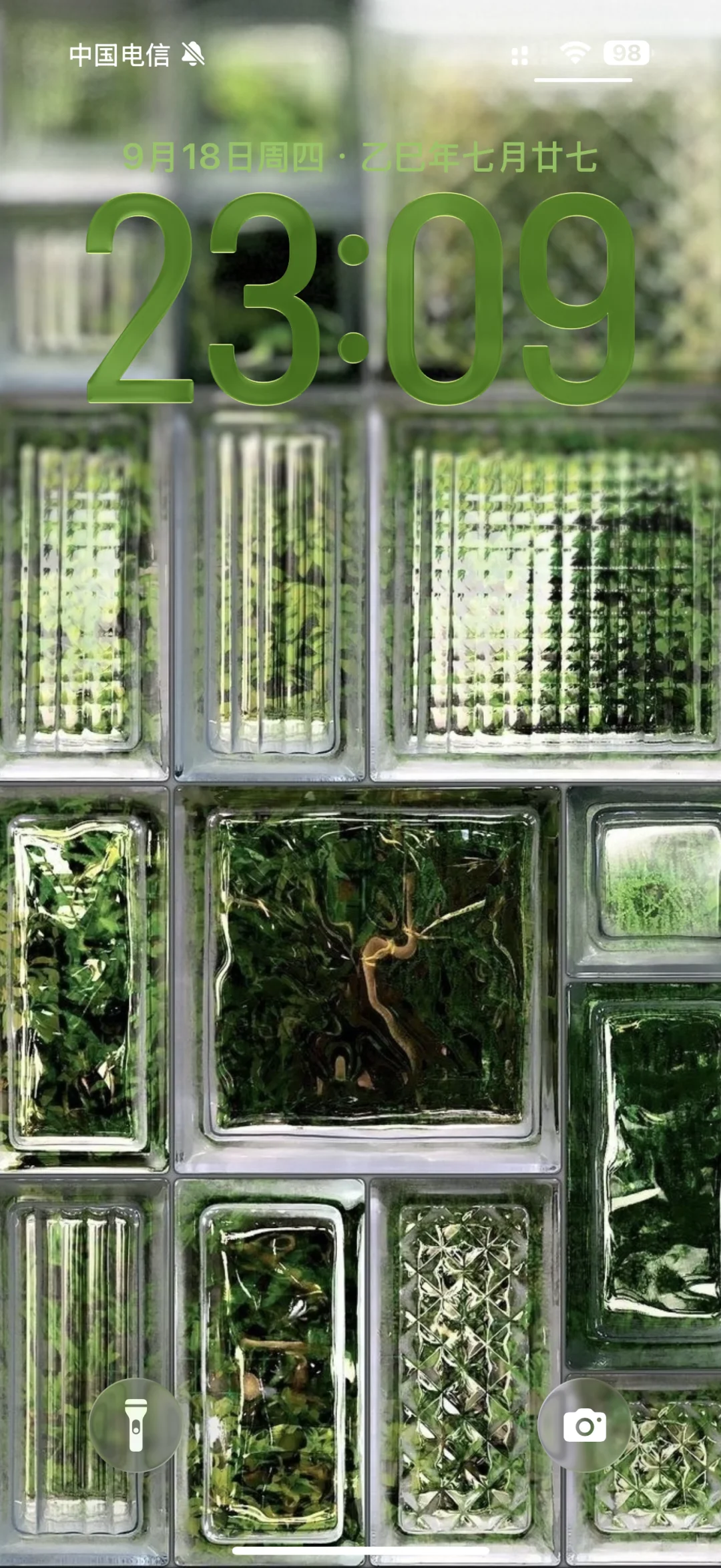 ios26景深壁纸｜一些绿色🌳