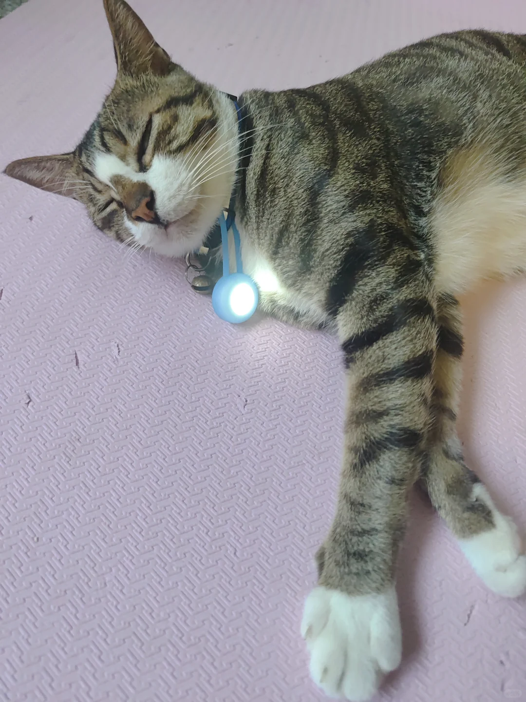 破纪录一个月运动一万卡