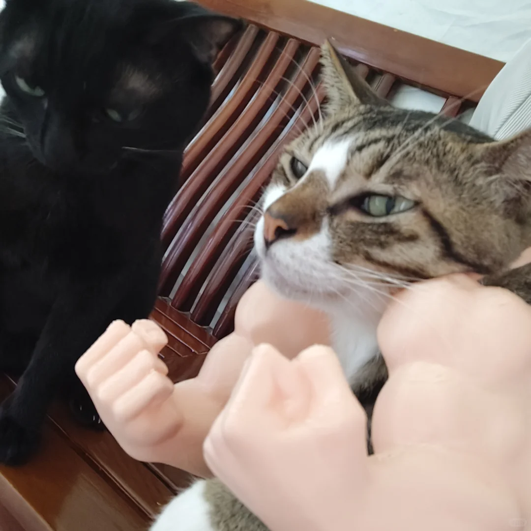 破纪录一个月运动一万卡