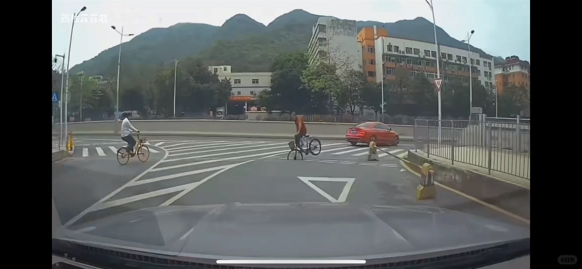 社死事件青桔卡路里后续…