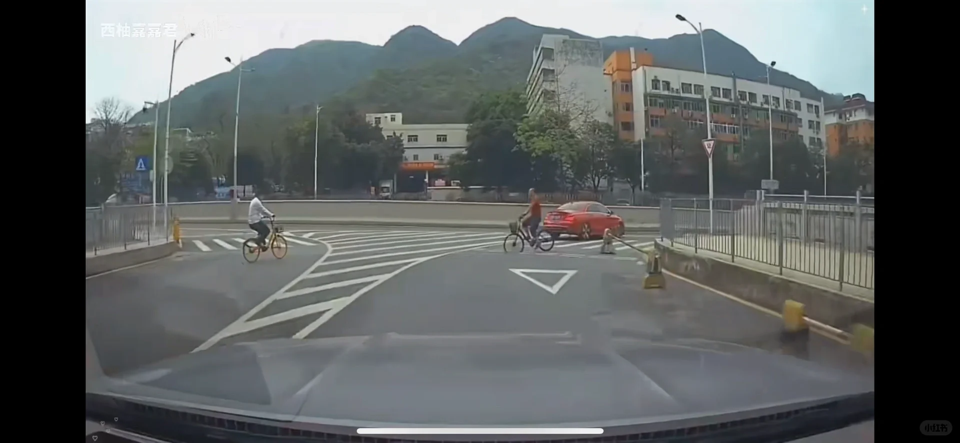 社死事件青桔卡路里后续…