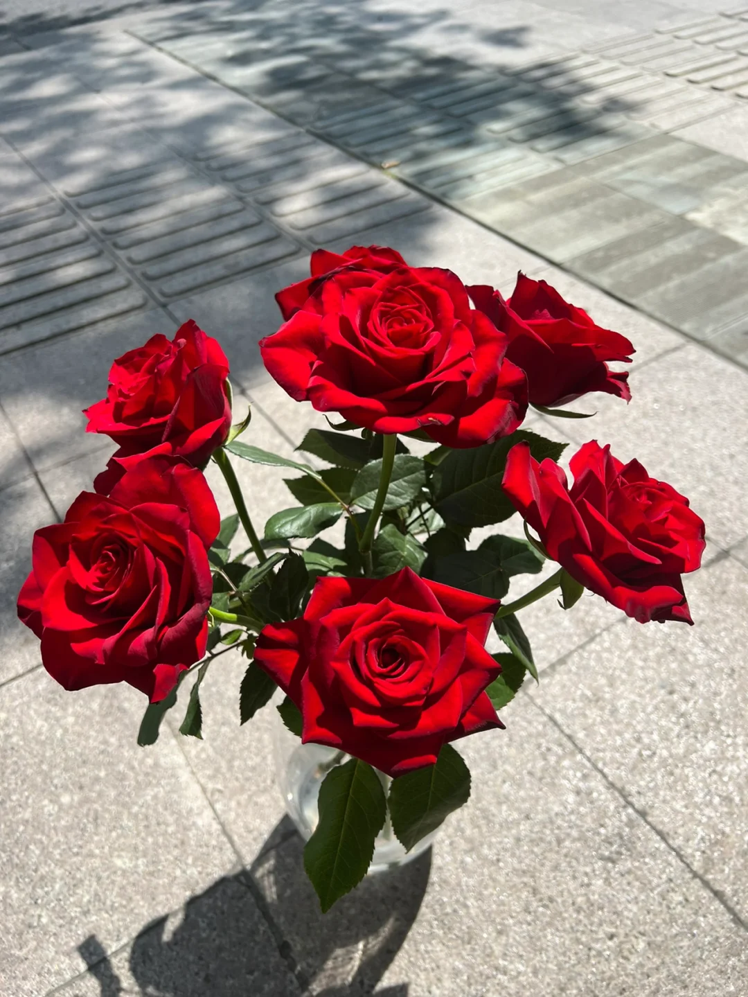 狂推方德的红衣女郎