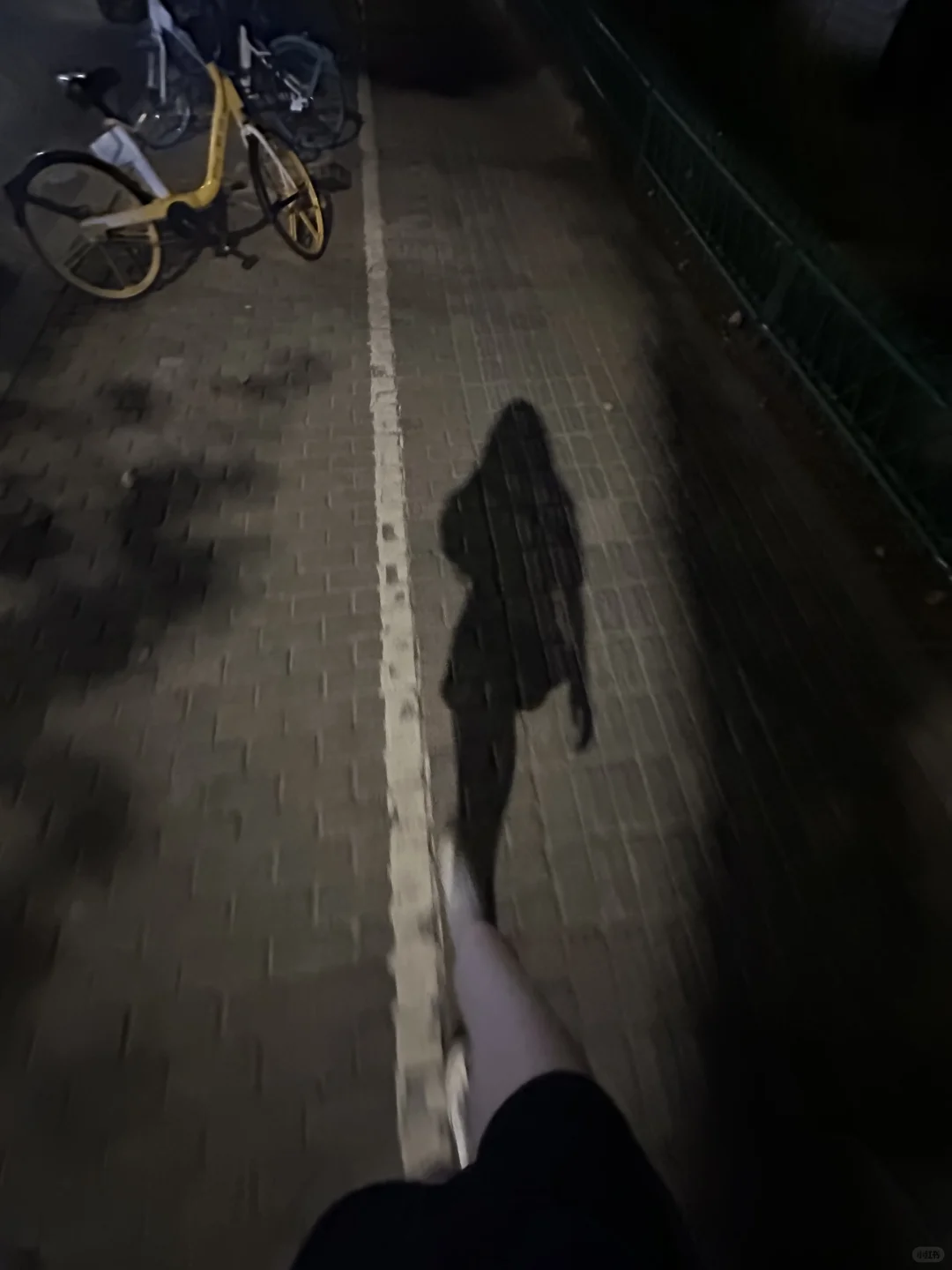 🌙夜与影子