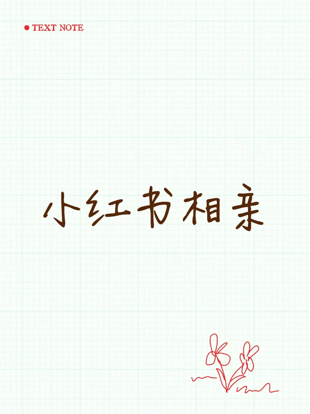 小红书相亲 女版