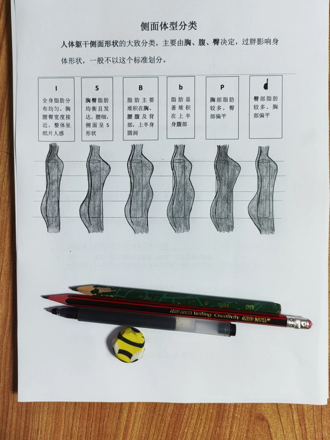 原来这种正面H侧面前凸后翘的身材叫HS
