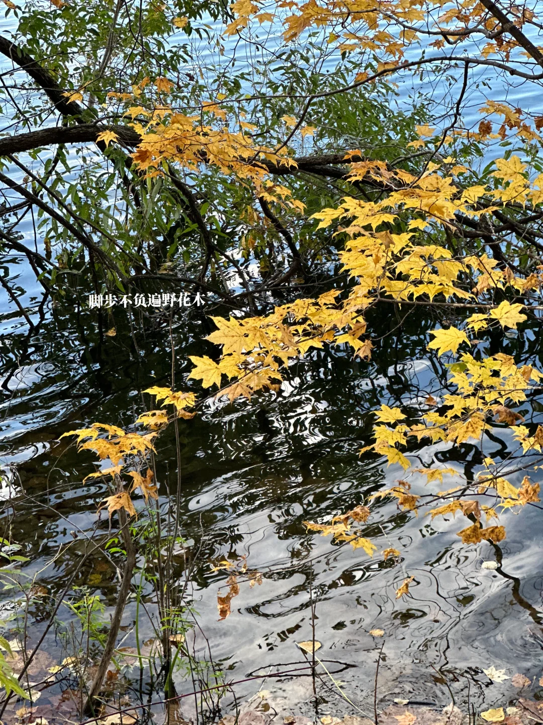 30+已婚已育｜到了一定年纪真的会血脉觉醒