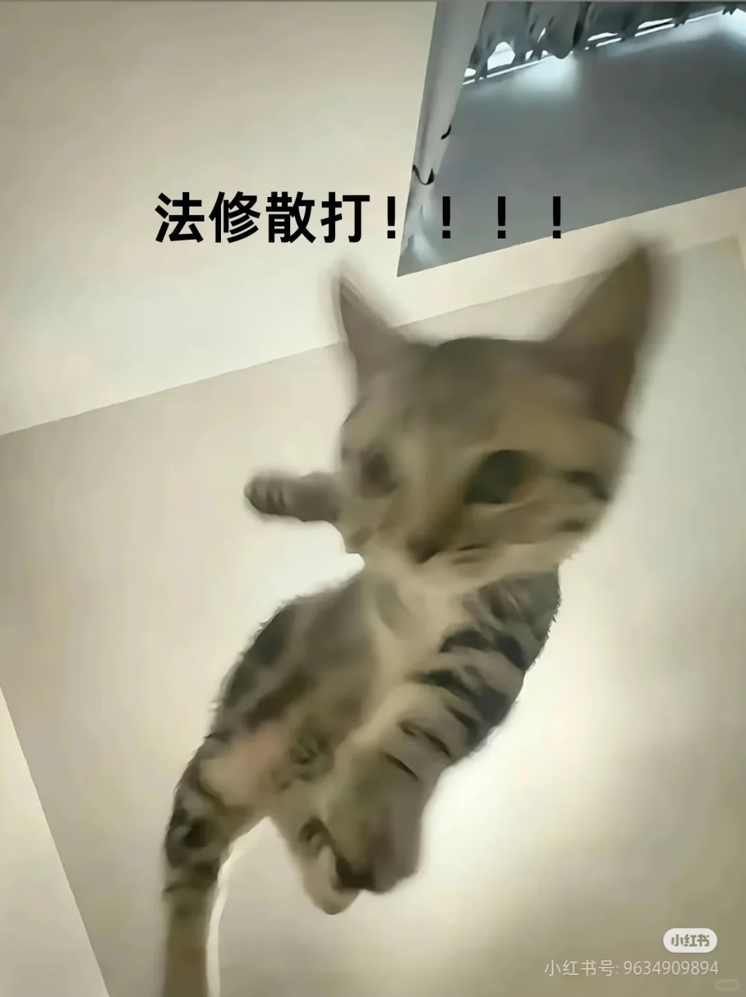 果然我是美少女壮士