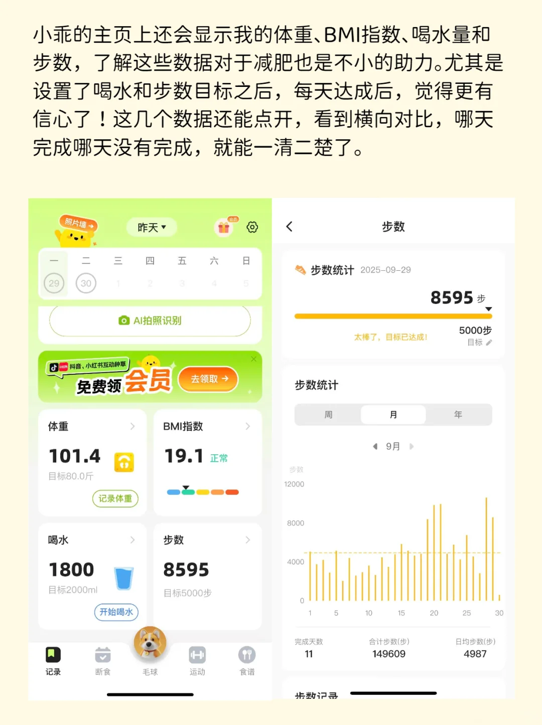 用TA减肥，控制热量已经是next level