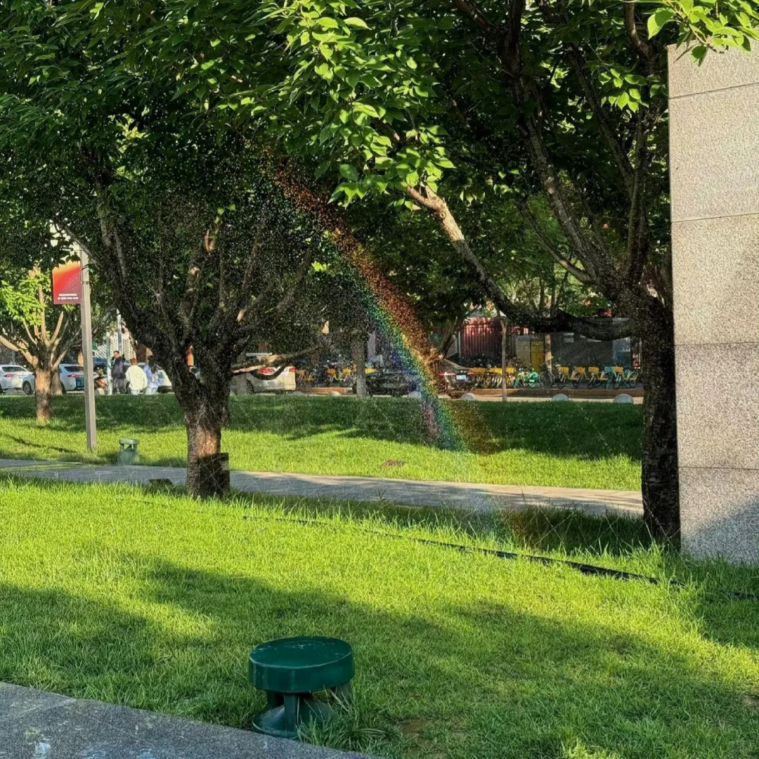 𝖶𝖾𝖢𝗁𝖺𝗍背景图💐