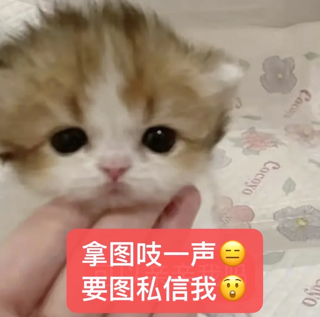 治愈系壁纸|整个宇宙都会来帮你壁纸🥰