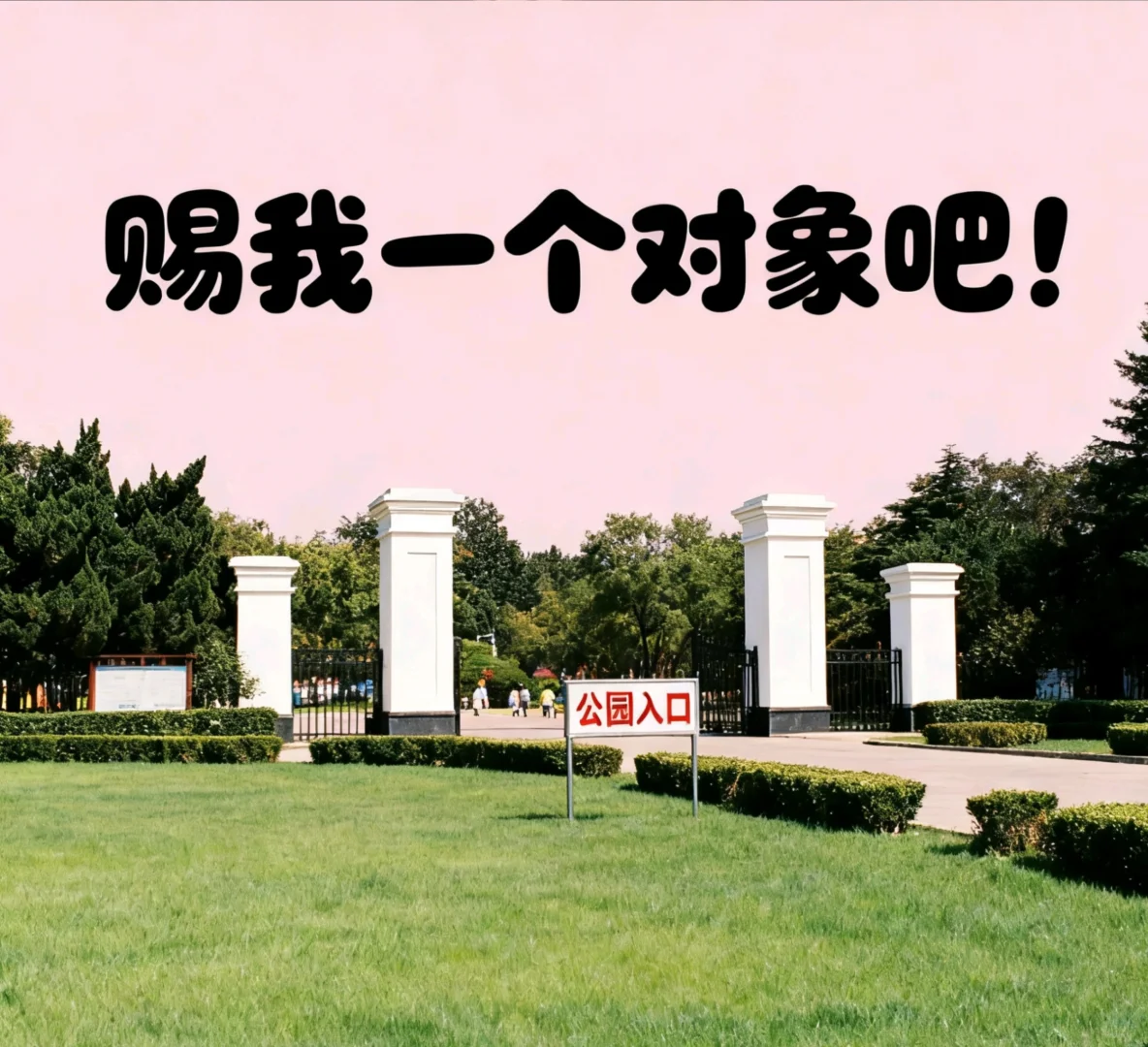 成都成华区90后单身男生真诚征婚！不钓鱼