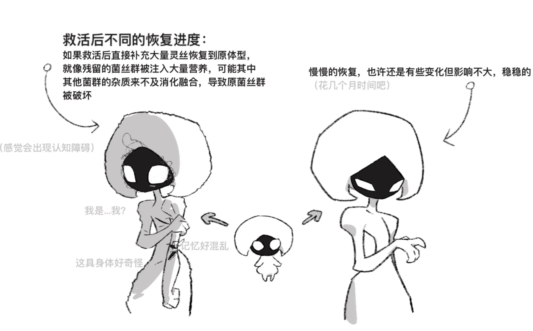 关于蕾丝战损