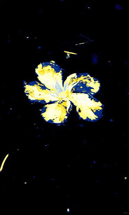 全屏封神挑战｜Golden blue
