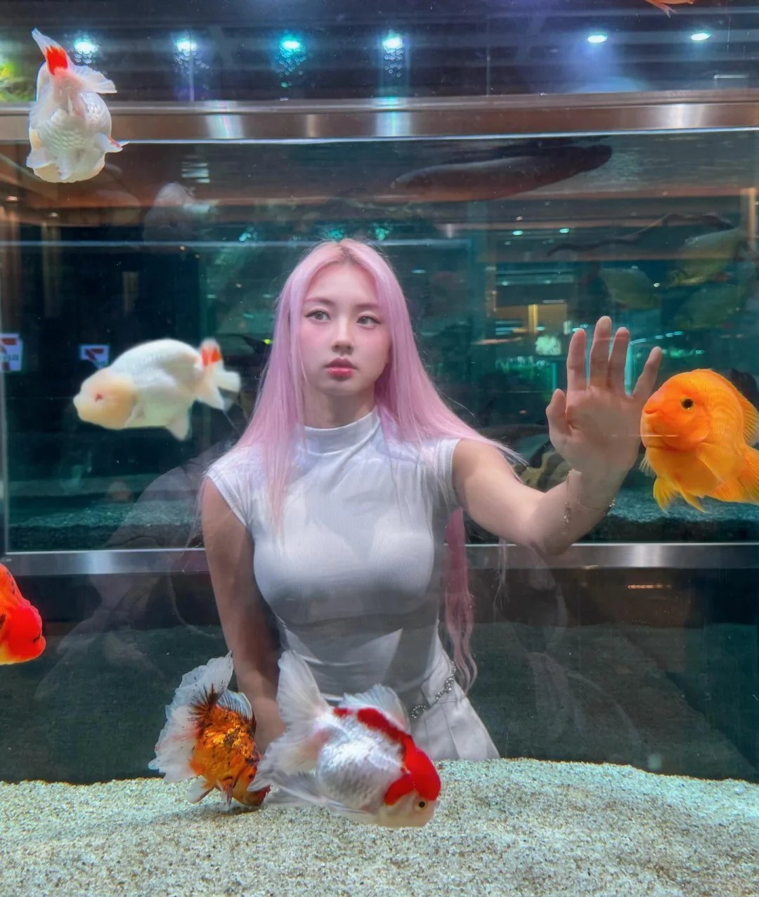 🐠🐠🐠