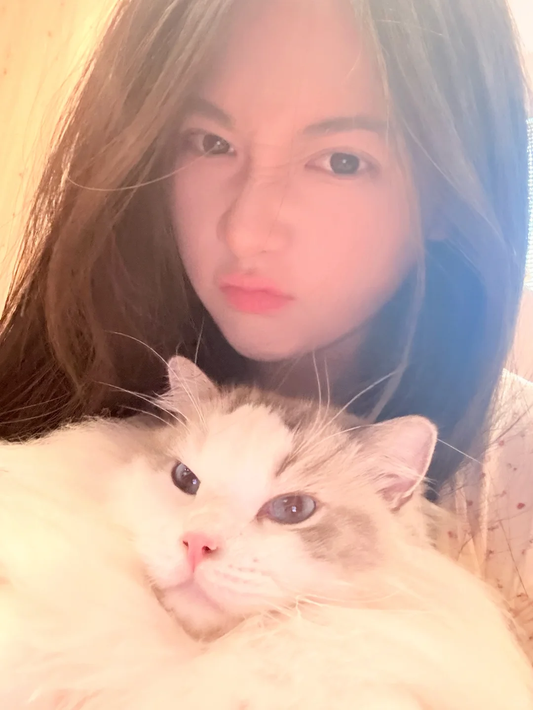 夏天夏天悄悄过去