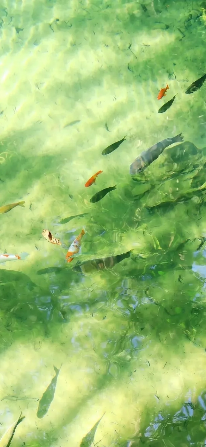 壁纸分享｜治愈系壁纸～