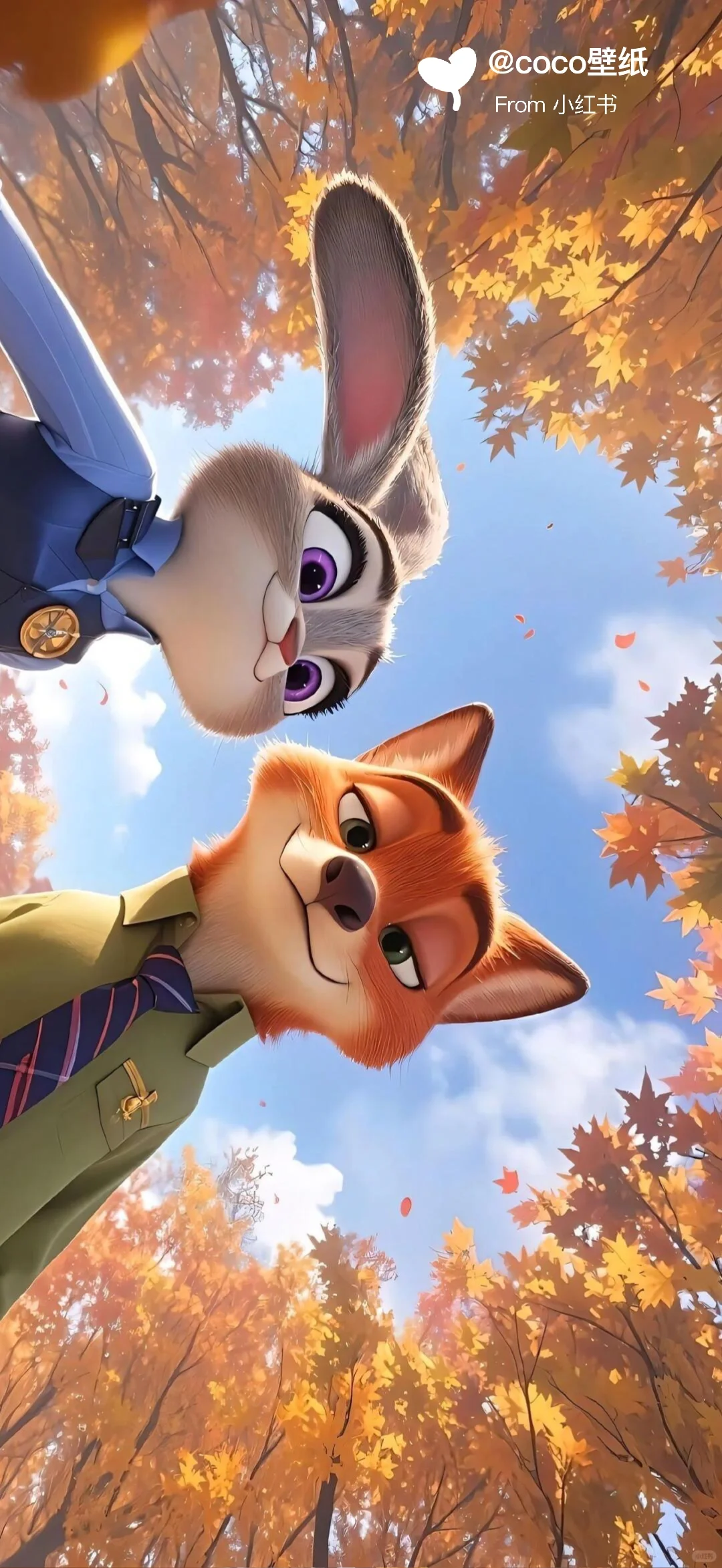 高清壁纸|兔朱迪🐰&狐尼克🦊