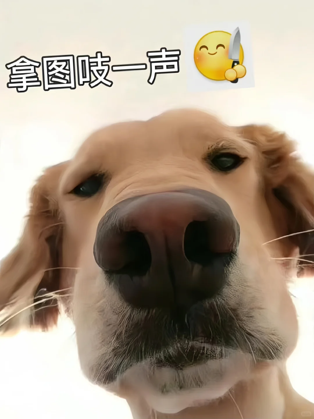 无法拒绝的氛围美女壁纸！