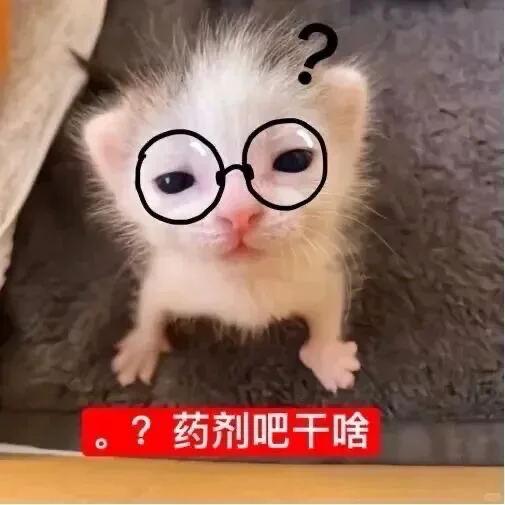 🐱‍️太可爱啦～巨萌巨萌～