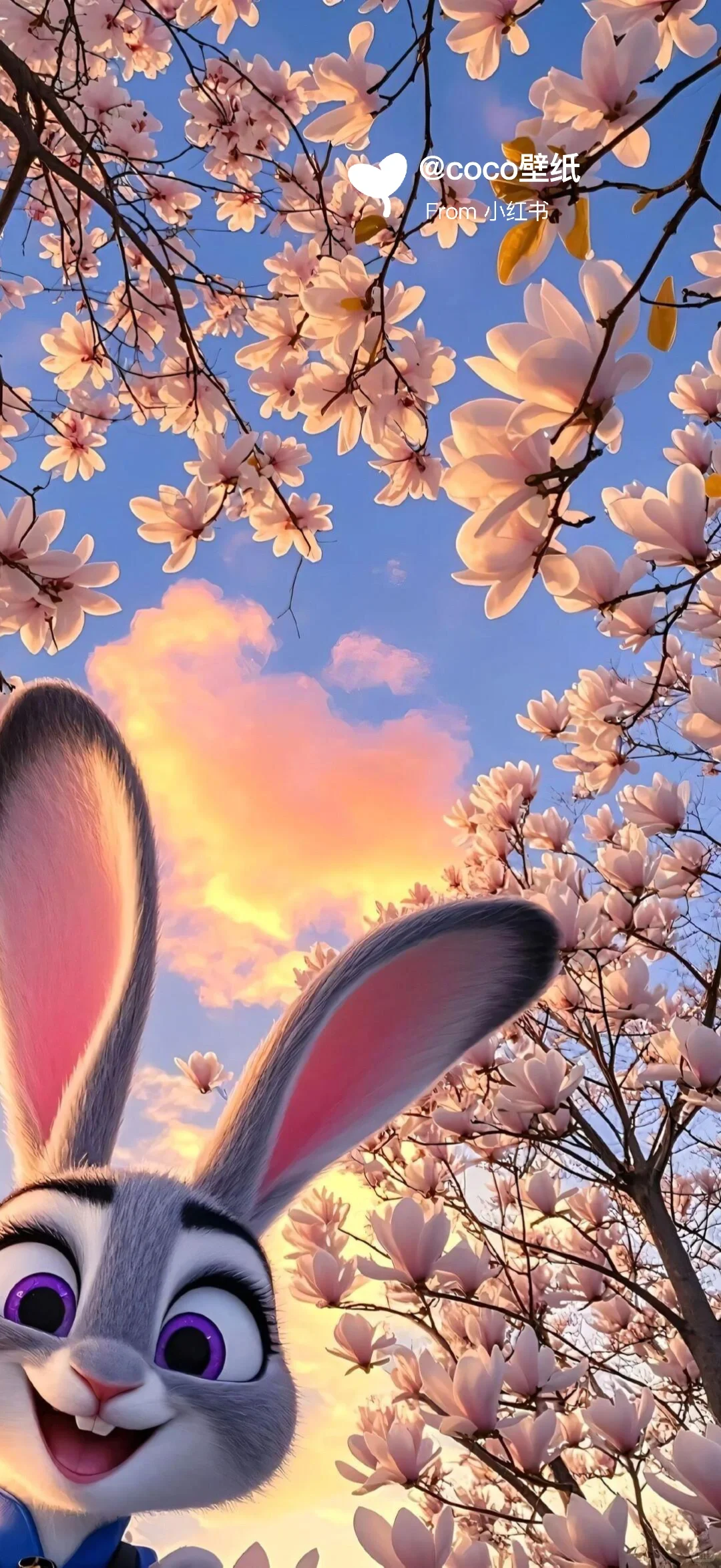 高清壁纸|兔朱迪🐰&狐尼克🦊